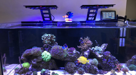 aquarium Aquarium