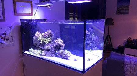 aquarium RedSea Reefer Peninsula 500