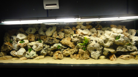 aquarium Bac de 900 L