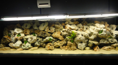 aquarium Bac de 900 L