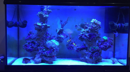 aquarium Le Monde de Nemo