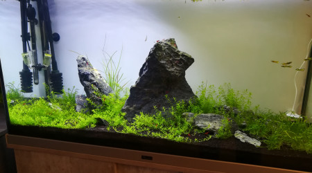 aquarium Le Grand RC