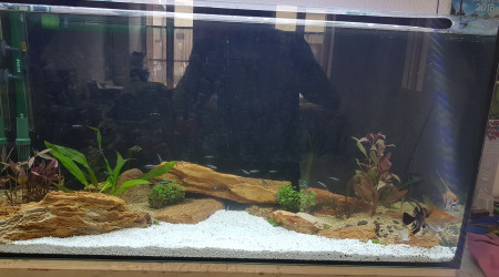 Amazonien refait totalement