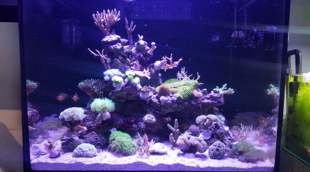 aquarium Reefer 170