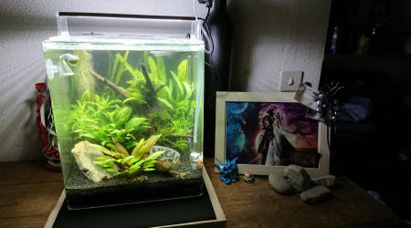 aquarium Nano cube Dennerle 30 l