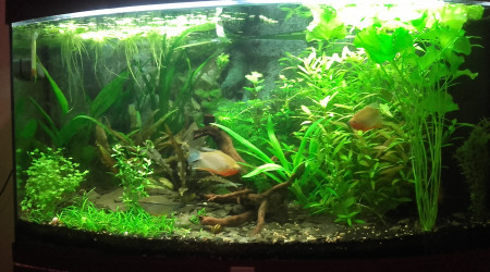 aquarium 180l