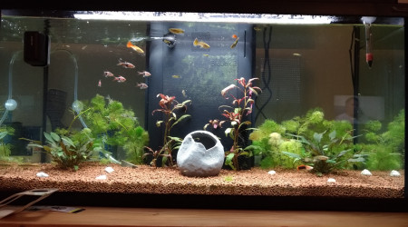 aquarium 1er