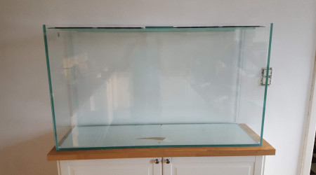Mon aquarium vide