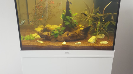aquarium Juwel Lido 120