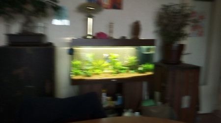 aquarium 180litre