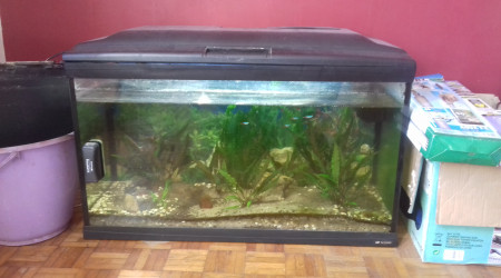 aquarium Neon 100litres