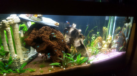 aquarium 160Litres