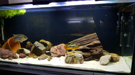 aquarium 450L