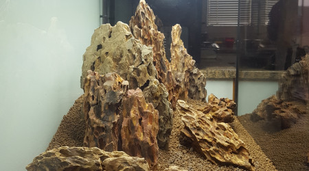 Hardscape 2
