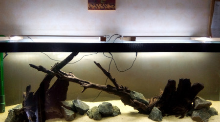 Bac Amérique du Sud