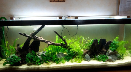 Bac Amérique du Sud