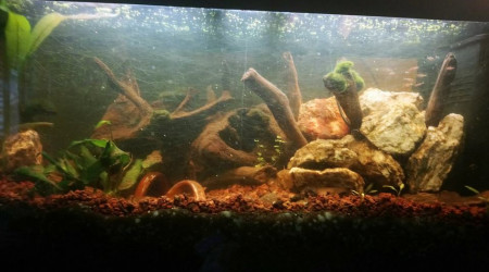 aquarium Aqua 250L