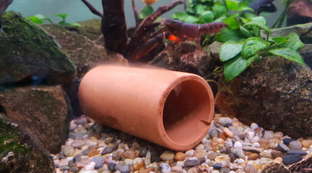 aquarium 400l