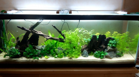 Bac Amérique du Sud