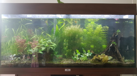 aquarium Aquarium 180l