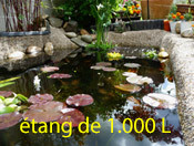 aquarium bassin 1000 L