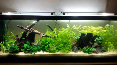 Bac Amérique du Sud