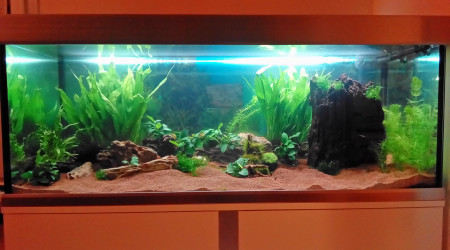 aquarium 325 l xiphos