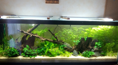 Bac Amérique du Sud