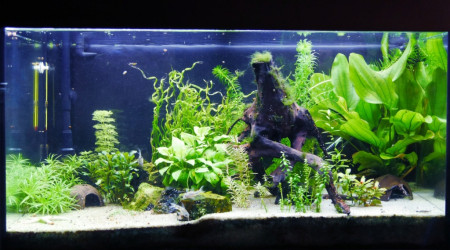 aquarium Mon Bac