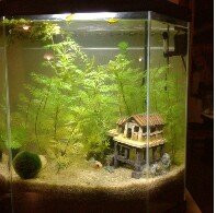 aquarium nano 30