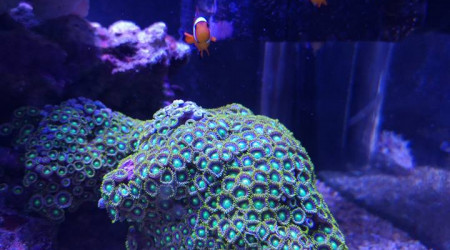 Maintenance, installation balling, installation goulotte elec 17/11/18