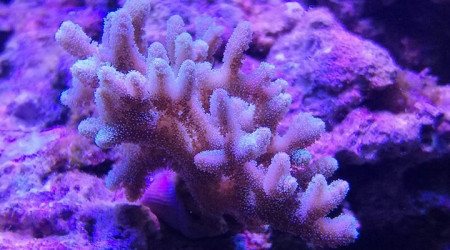 Maintenance, installation balling, installation goulotte elec 17/11/18