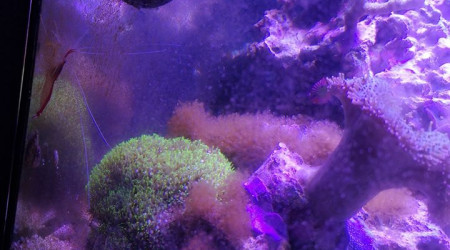 Maintenance, installation balling, installation goulotte elec 17/11/18