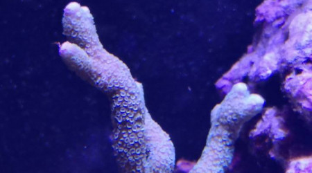 Maintenance, installation balling, installation goulotte elec 17/11/18