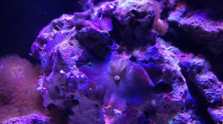 Maintenance, installation balling, installation goulotte elec 17/11/18