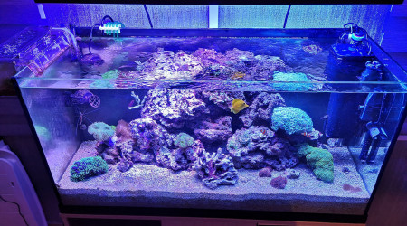 Maintenance, installation balling, installation goulotte elec 17/11/18