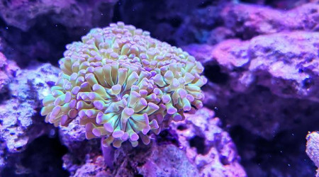 Maintenance, installation balling, installation goulotte elec 17/11/18