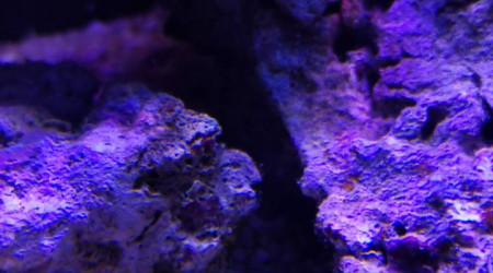 Maintenance, installation balling, installation goulotte elec 17/11/18