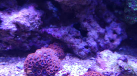 Maintenance, installation balling, installation goulotte elec 17/11/18