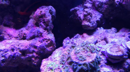 Maintenance, installation balling, installation goulotte elec 17/11/18