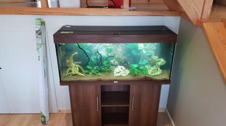 aquarium Padré