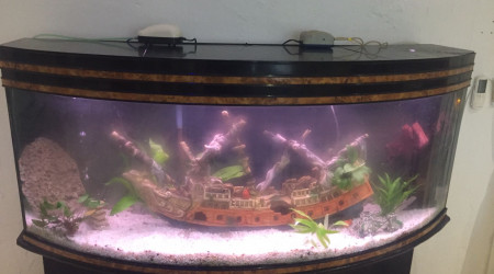 aquarium Héritage