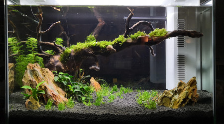 aquarium HOME 60