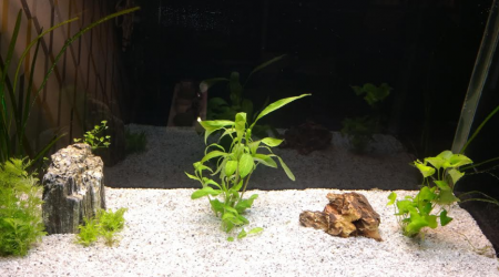 La première photo de notre bac