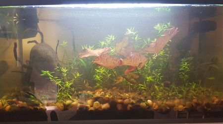 Mise à jours post noel