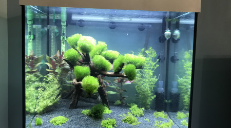 aquarium Juwel Lido 120