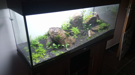 aquarium Rio 240