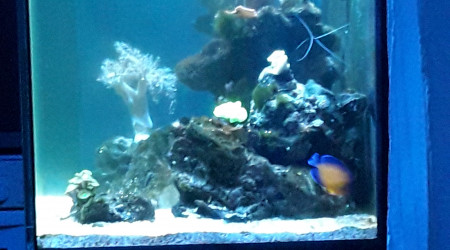 aquarium Numéro 2
