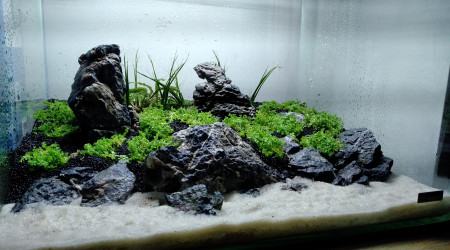 aquarium Dennerle Tank 35L