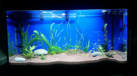 aquarium Yvano17